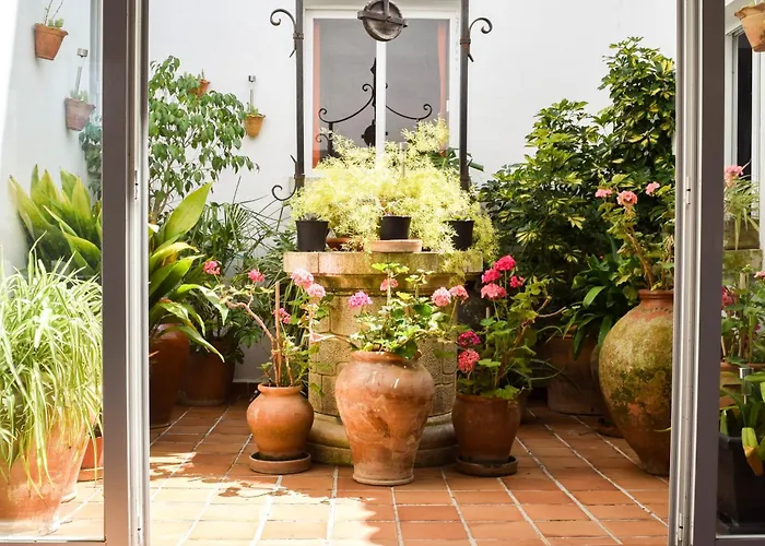 Alexia Sol 1st Floor Stairs 1br Pool View 9 Min To Sea 5min To Town At1833 Daire Port de Pollença